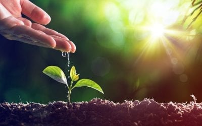 Spring Clear Outs & Why Skip Hire Makes The Job Easier